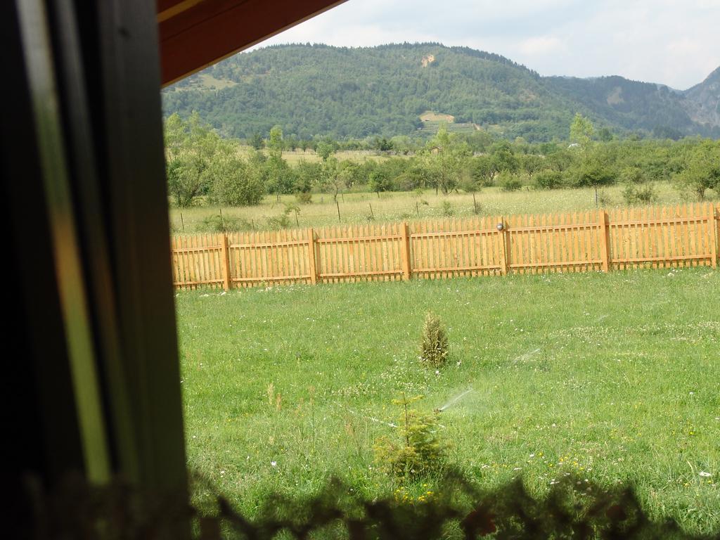 Willa Complex Agroturistic Livada De Nuci Baia de Fier Zewnętrze zdjęcie