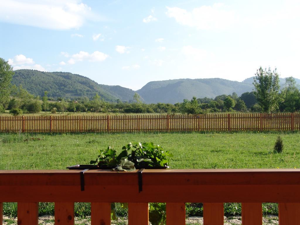 Willa Complex Agroturistic Livada De Nuci Baia de Fier Zewnętrze zdjęcie