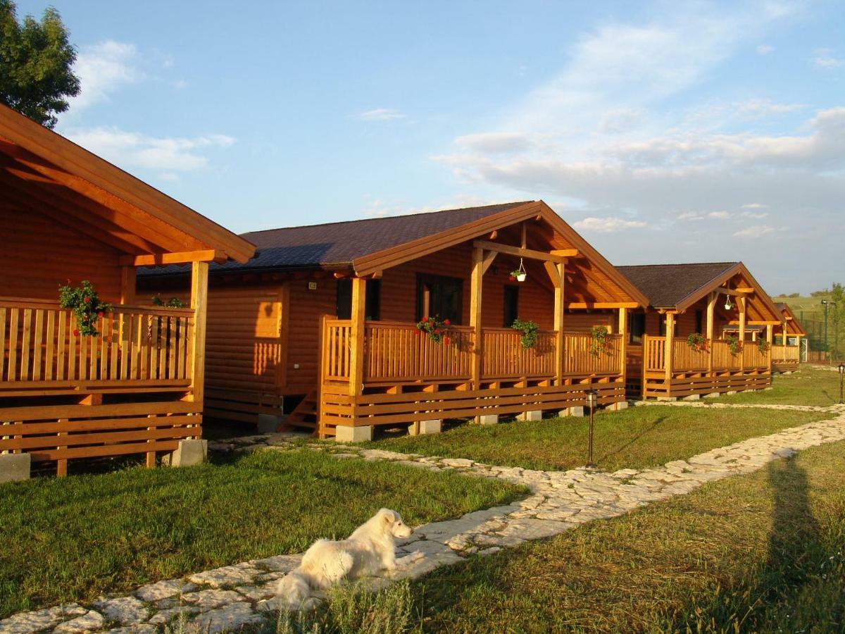Willa Complex Agroturistic Livada De Nuci Baia de Fier Zewnętrze zdjęcie