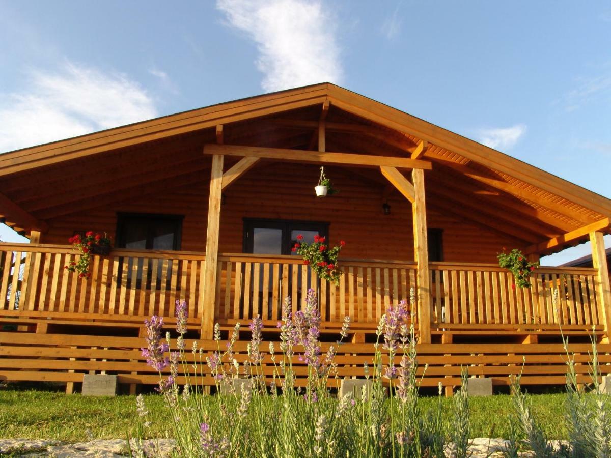 Willa Complex Agroturistic Livada De Nuci Baia de Fier Zewnętrze zdjęcie