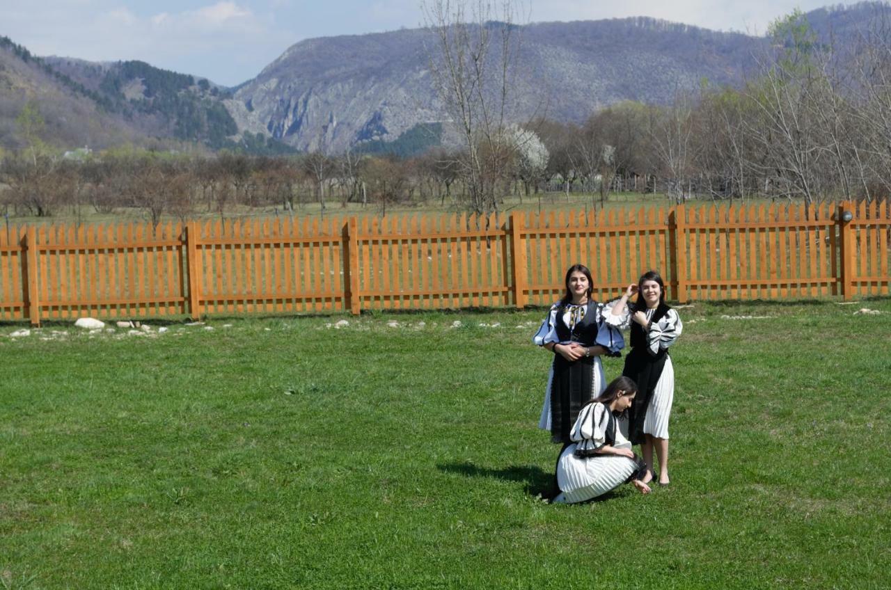 Willa Complex Agroturistic Livada De Nuci Baia de Fier Zewnętrze zdjęcie