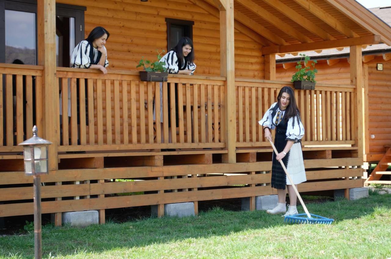 Willa Complex Agroturistic Livada De Nuci Baia de Fier Zewnętrze zdjęcie
