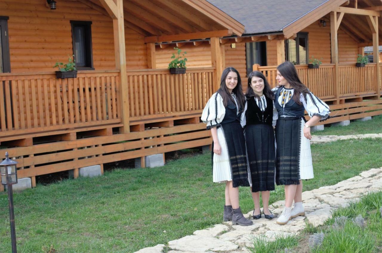 Willa Complex Agroturistic Livada De Nuci Baia de Fier Zewnętrze zdjęcie