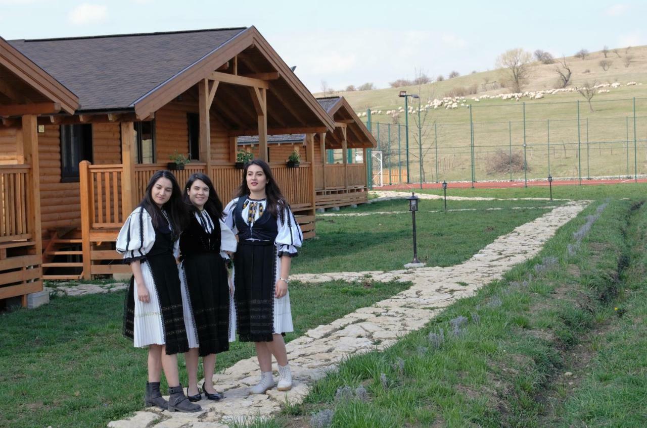 Willa Complex Agroturistic Livada De Nuci Baia de Fier Zewnętrze zdjęcie